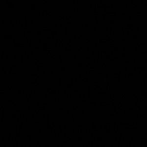 Meet your Posher, Norma